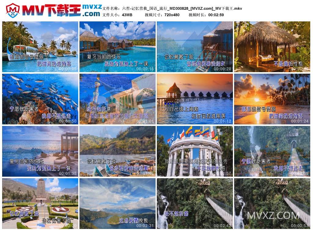 六哲-记忆营救_国语_流行_MD300828